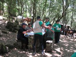 arbuda-270609 (107).html